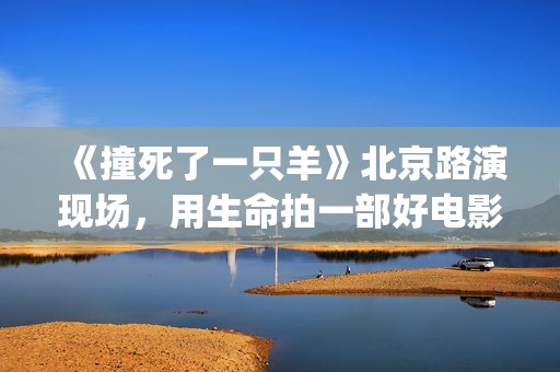 《撞死了一只羊》北京路演现场，用生命拍一部好电影(撞死了一只羊小说在线阅读)