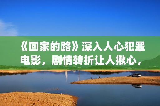《回家的路》深入人心犯罪电影，剧情转折让人揪心，令人十分感动(回家的路讲的是什么)
