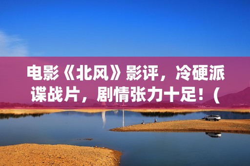 电影《北风》影评，冷硬派谍战片，剧情张力十足！(电影《北风》影评分析)