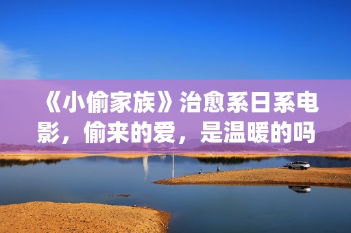 《小偷家族》治愈系日系电影，偷来的爱，是温暖的吗？(小偷家族深度解析)