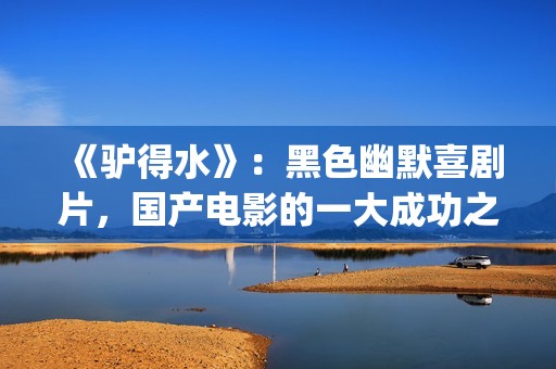《驴得水》：黑色幽默喜剧片，国产电影的一大成功之作！(驴得水到底讲的是什么)