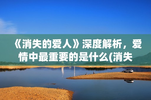 《消失的爱人》深度解析，爱情中最重要的是什么(消失的爱人截取的一段感情)