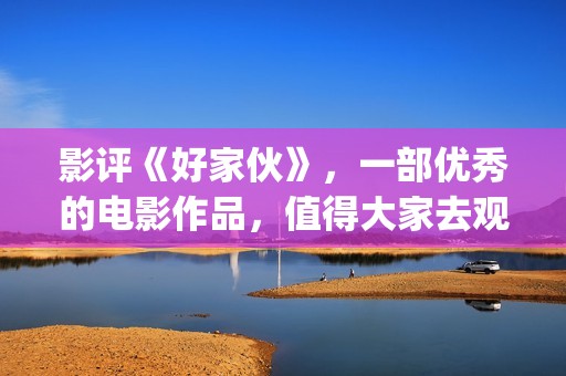 影评《好家伙》，一部优秀的电影作品，值得大家去观看！(电影《好家伙》)