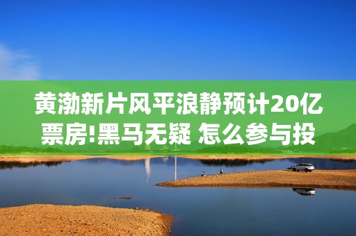 黄渤新片风平浪静预计20亿票房!黑马无疑 怎么参与投资(风平浪静黄渤出品方)