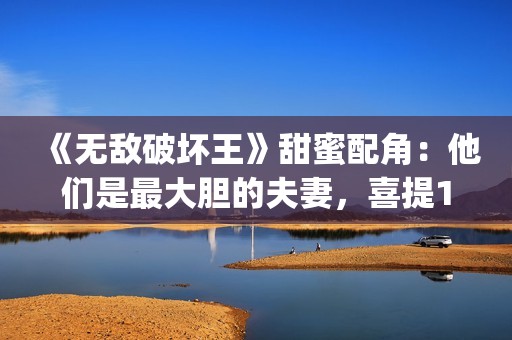 《无敌破坏王》甜蜜配角：他们是最大胆的夫妻，喜提15位家庭成员(《无敌破坏王》2)