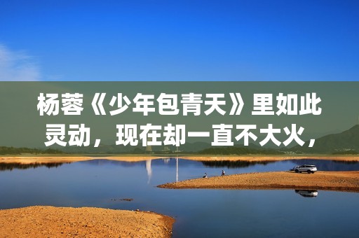 杨蓉《少年包青天》里如此灵动，现在却一直不大火，原因在这(歌曲少年包青天)