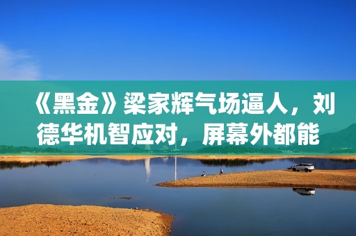《黑金》梁家辉气场逼人，刘德华机智应对，屏幕外都能感觉到寒气(《黑金》梁家辉演员表)