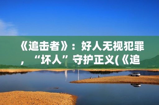 《追击者》:好人无视犯罪,“坏人”守护正义(《追击者》解析) 《追击者》:好人无视犯罪,“坏人”守护正义(《追击者》解析)