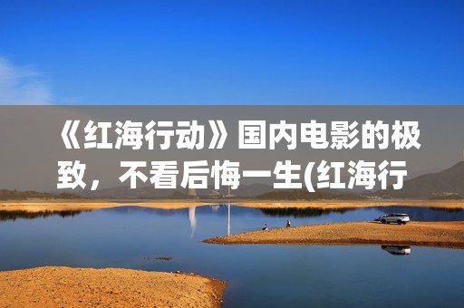 《红海行动》国内电影的极致，不看后悔一生(红海行动大片)