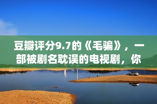 豆瓣评分9.7的《毛骗》，一部被剧名耽误的电视剧，你看过没？(豆瓣评分9.5)