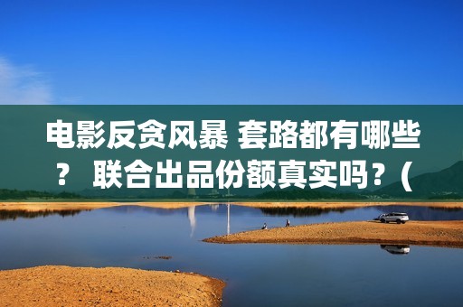 电影反贪风暴 套路都有哪些？ 联合出品份额真实吗？(电影反贪风暴3演员表)