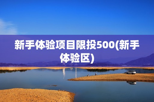 新手体验项目限投500(新手体验区)