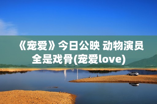 《宠爱》今日公映 动物演员全是戏骨(宠爱love)
