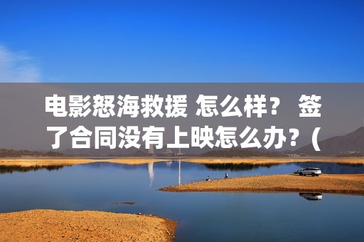 电影怒海救援 怎么样？ 签了合同没有上映怎么办？(电影怒海救援免费播放)