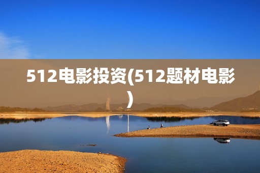 512电影投资(512题材电影)