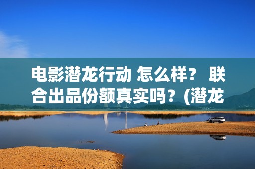 电影潜龙行动 怎么样？ 联合出品份额真实吗？(潜龙行动免费)