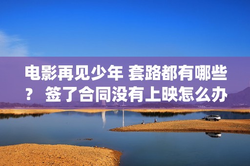 电影再见少年 套路都有哪些？ 签了合同没有上映怎么办？(电影再见少年剧情介绍)