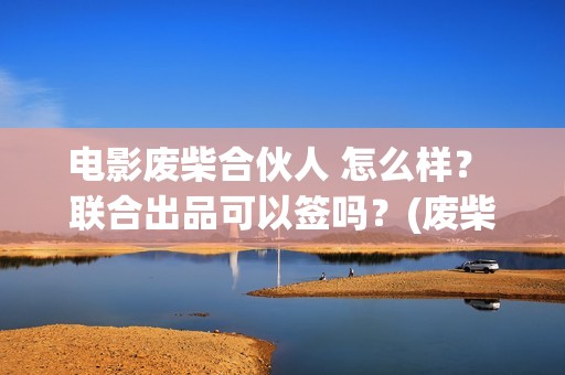 电影废柴合伙人 怎么样？ 联合出品可以签吗？(废柴组合)