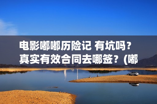 电影嘟嘟历险记 有坑吗？ 真实有效合同去哪签？(嘟嘟的冒险)