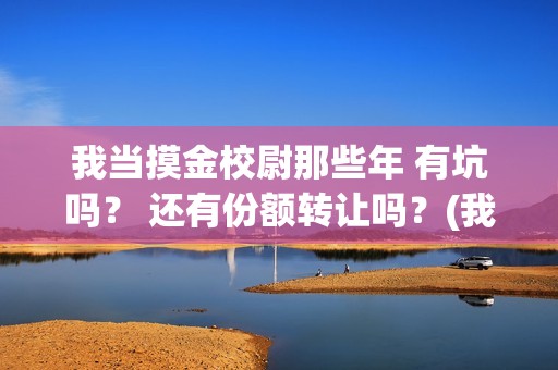 我当摸金校尉那些年 有坑吗？ 还有份额转让吗？(我当摸金校尉结局知乎)