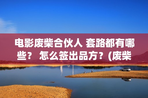 电影废柴合伙人 套路都有哪些？ 怎么签出品方？(废柴兄弟众筹火锅免费观看)