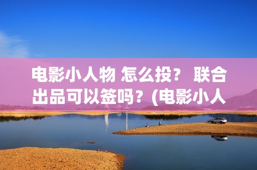 电影小人物 怎么投？ 联合出品可以签吗？(电影小人物的画)