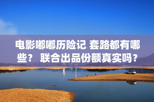 电影嘟嘟历险记 套路都有哪些？ 联合出品份额真实吗？(电影嘟嘟历险记在线观看)