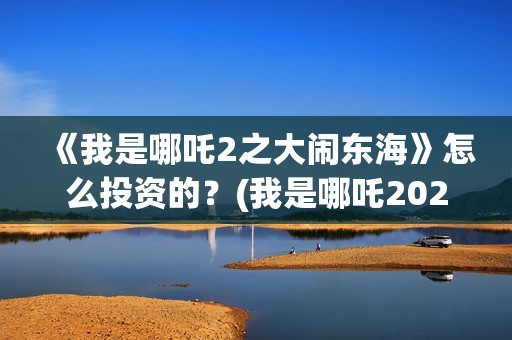 《我是哪吒2之大闹东海》怎么投资的？(我是哪吒2021)