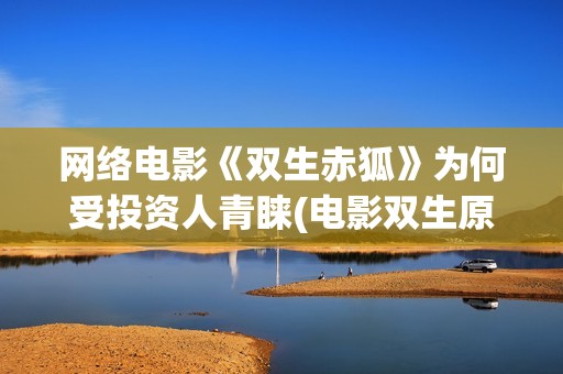 网络电影《双生赤狐》为何受投资人青睐(电影双生原著小说)