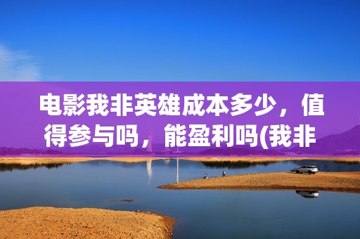电影我非英雄成本多少，值得参与吗，能盈利吗(我非英雄在线播放大地影院)