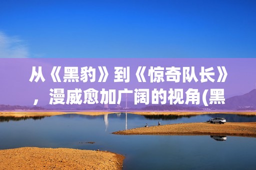 从《黑豹》到《惊奇队长》，漫威愈加广阔的视角(黑豹过后看什么)