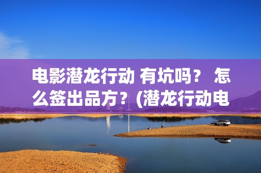 电影潜龙行动 有坑吗？ 怎么签出品方？(潜龙行动电影大结局)