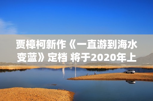 贾樟柯新作《一直游到海水变蓝》定档 将于2020年上映(贾樟柯的文艺片)