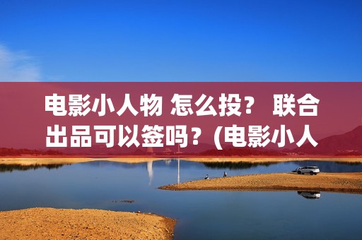 电影小人物 怎么投？ 联合出品可以签吗？(电影小人物到底是谁)