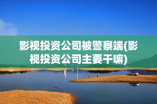 影视投资公司被警察端(影视投资公司主要干嘛)