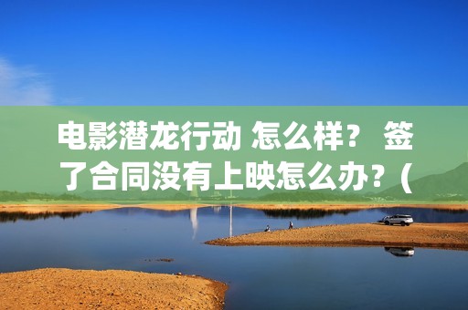 电影潜龙行动 怎么样？ 签了合同没有上映怎么办？(电影潜龙行动演员表)
