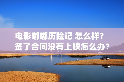 电影嘟嘟历险记 怎么样？ 签了合同没有上映怎么办？(电影嘟嘟历险记在线观看)