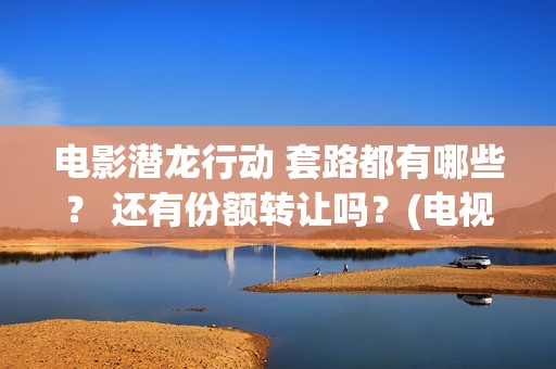电影潜龙行动 套路都有哪些？ 还有份额转让吗？(电视剧潜龙行动高清)