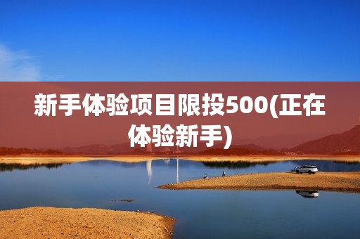 新手体验项目限投500(正在体验新手)