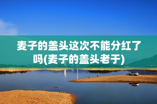 麦子的盖头这次不能分红了吗(麦子的盖头老于)