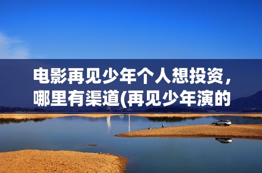 电影再见少年个人想投资，哪里有渠道(再见少年演的啥)