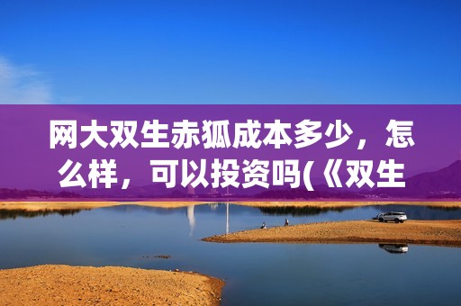 网大双生赤狐成本多少，怎么样，可以投资吗(《双生赤狐》)