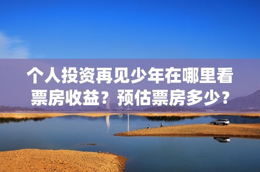 个人投资再见少年在哪里看票房收益？预估票房多少？回(你认为个人投资需要什么条件?)
