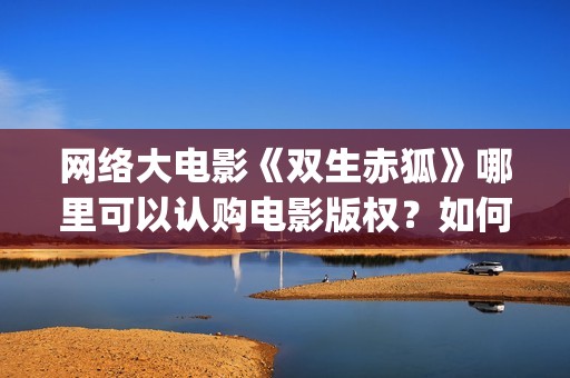 网络大电影《双生赤狐》哪里可以认购电影版权？如何投(有个电影叫什么双)