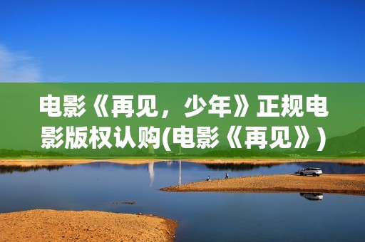 电影《再见，少年》正规电影版权认购(电影《再见》)