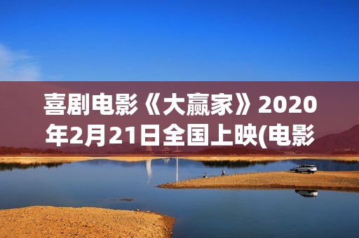 喜剧电影《大赢家》2020年2月21日全国上映(电影大赢家在线播放)