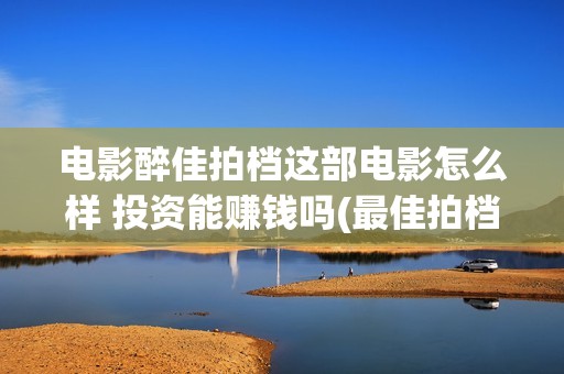电影醉佳拍档这部电影怎么样 投资能赚钱吗(最佳拍档之醉街拍档 电影免费国语)