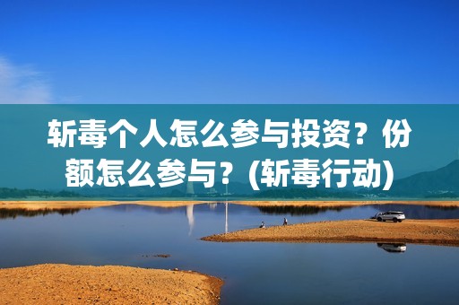 斩毒个人怎么参与投资？份额怎么参与？(斩毒行动)