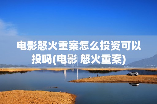 电影怒火重案怎么投资可以投吗(电影 怒火重案)