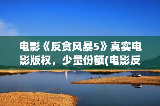电影《反贪风暴5》真实电影版权，少量份额(电影反贪风暴3(普通话)在线观看)